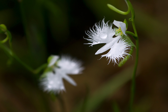 _DSC8537.jpg