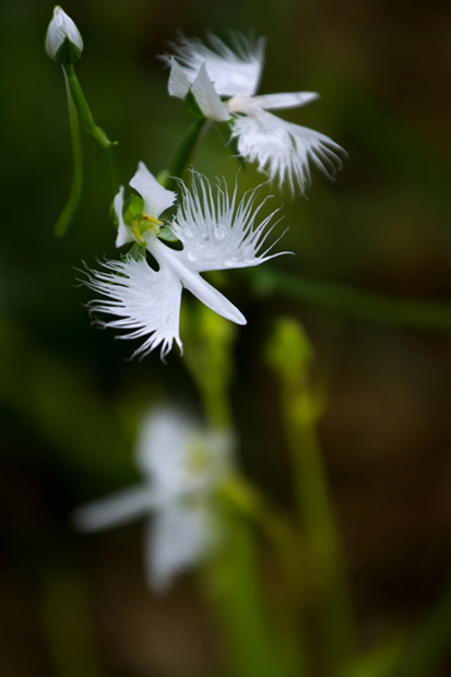 _DSC8576.jpg