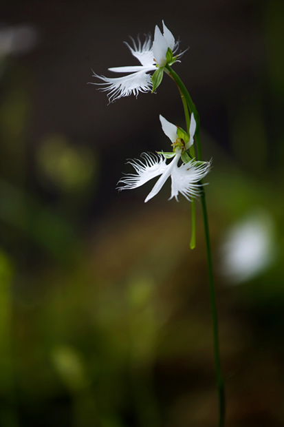 _DSC8582.jpg