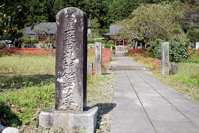 _DSF9817.jpg