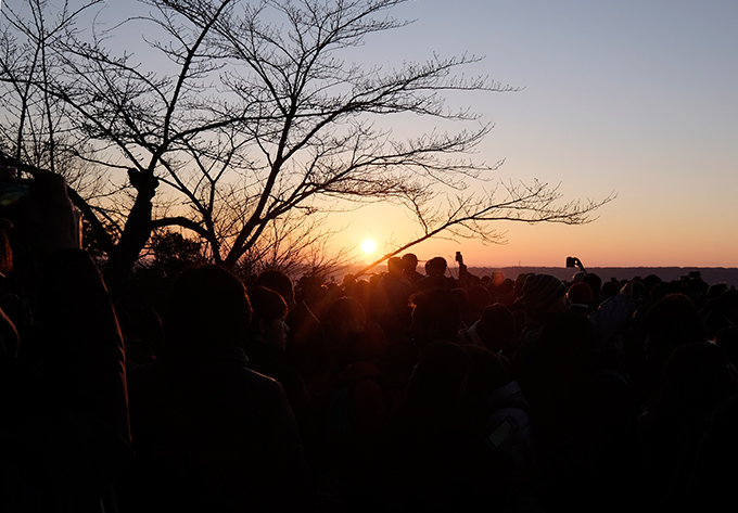 _DSF0847.jpg