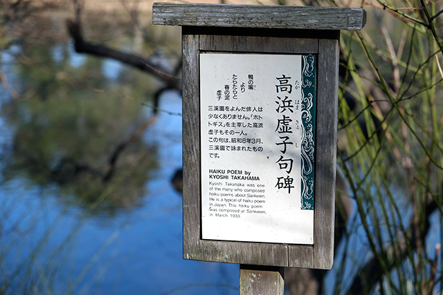 _DSF6190.jpg