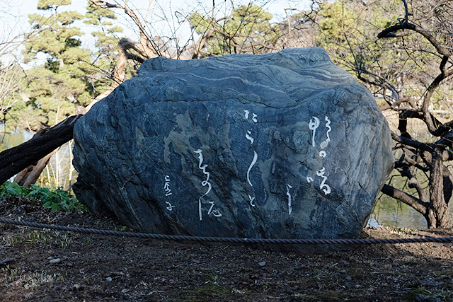 _DSF6191.jpg