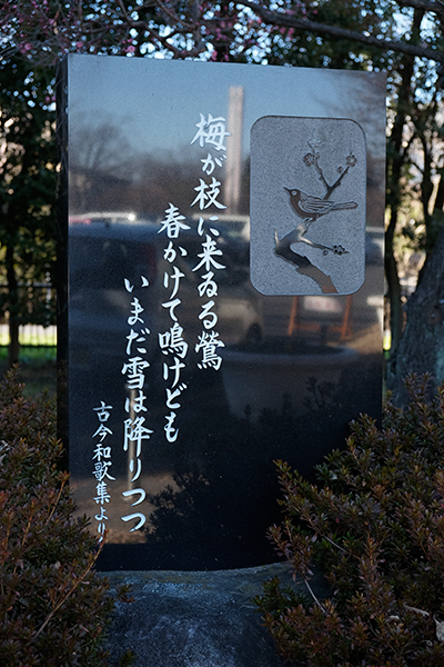 _DSF6248.jpg
