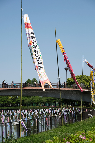 _DSF6761.jpg