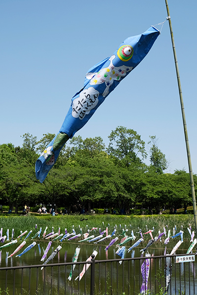 _DSF6719.jpg