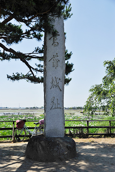 _DSC0408.jpg