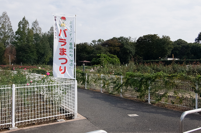 DSCF8177-2.jpg