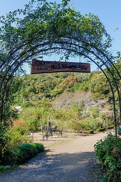 DSCF8128.jpg
