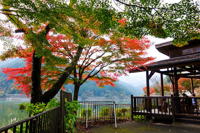 DSCF9206.jpg