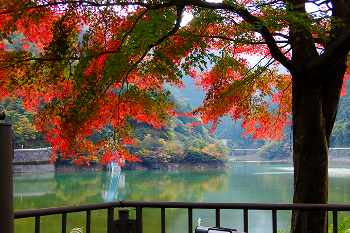 DSCF9209.jpg