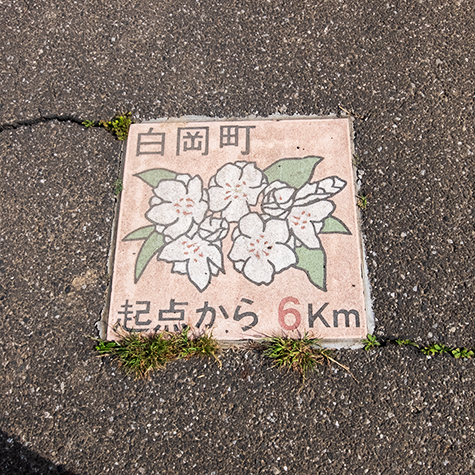 DSCF8368.png