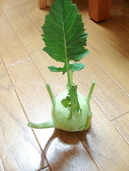超生命体その1