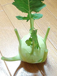 超生命体その2