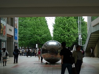日本色彩学会全国大会に参加 椿のころ