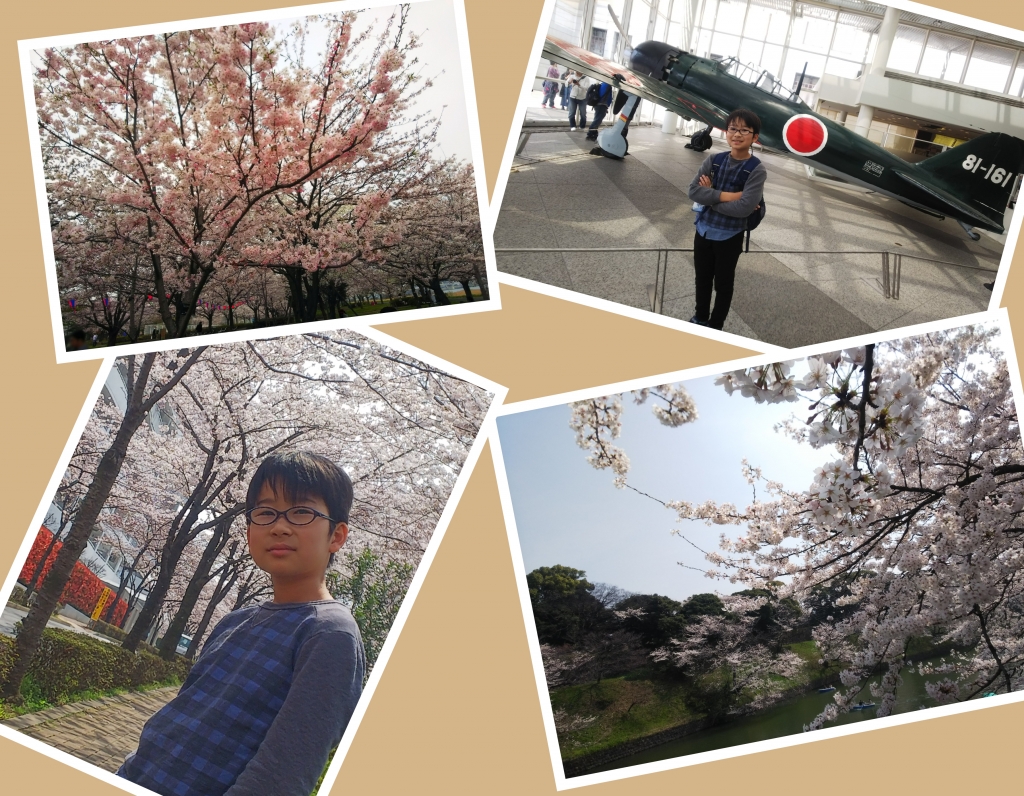 桜2018
