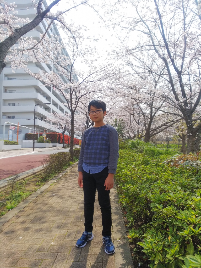 桜並木