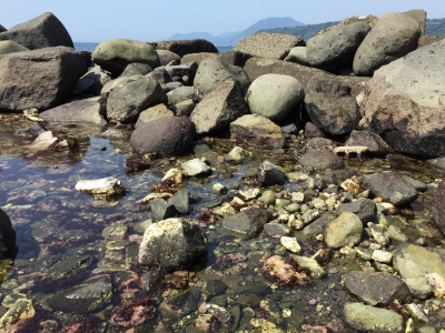 石花海・海06