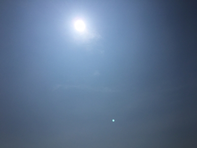 稲取太陽