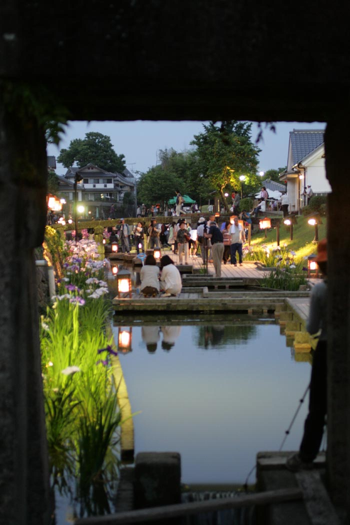 090605_花菖蒲祭り8