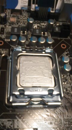 CPU¥°¥ê¥¹¤ò¤Þ¤ó¤Ù¤ó¤Ê¤¯¿¤Ð¤¹