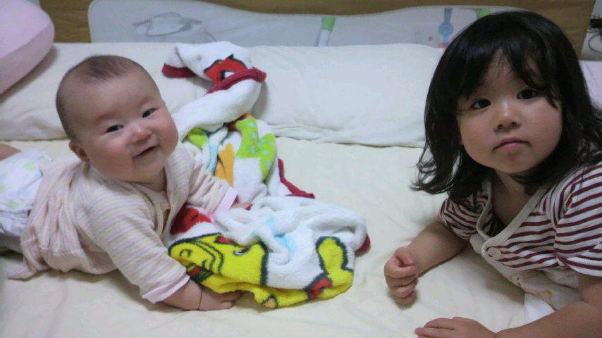 P1000231.jpg