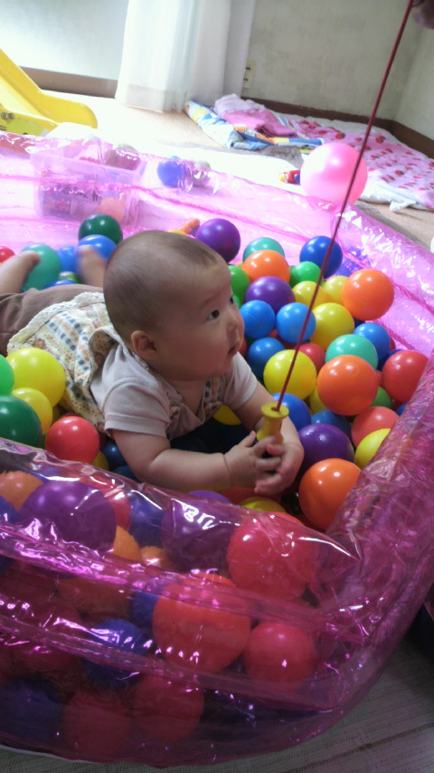 P1000233.jpg