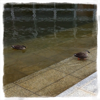 iPhoneImage.png