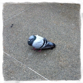 iPhoneImage.png