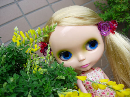 060307dote-3