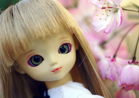070405sweet-2
