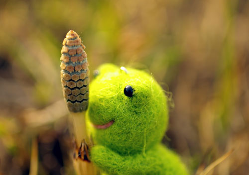 08023kero-5