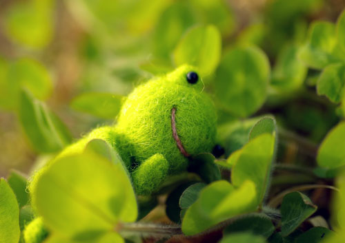 080323kero-7