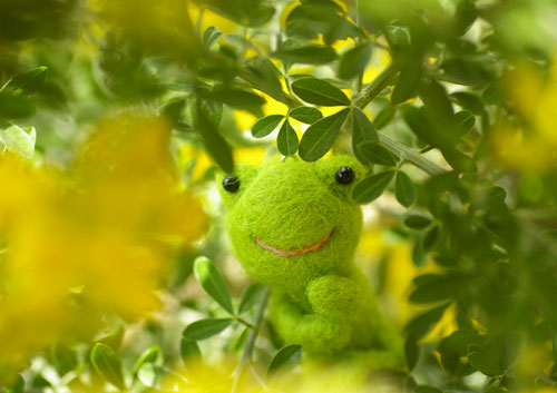 080430kero-1