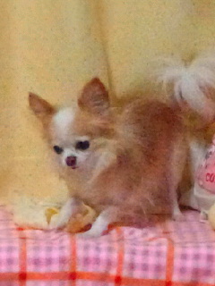 SBSH0740.JPG