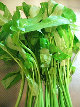 この野菜はなに?