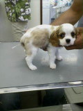 20070623152048_0001.jpg