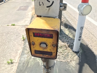 iPhoneImage.png