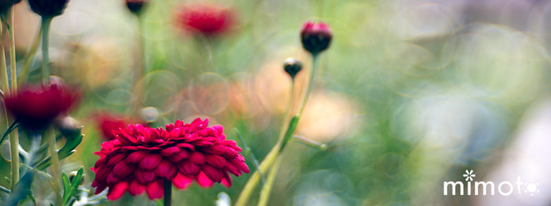 _Y4A0092.jpg