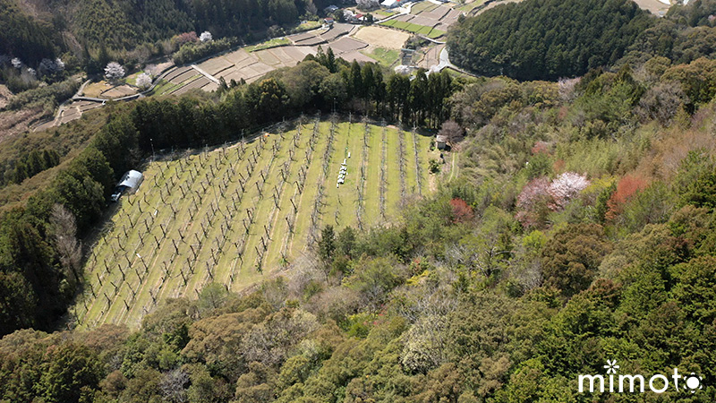 111DJI_07470.jpg