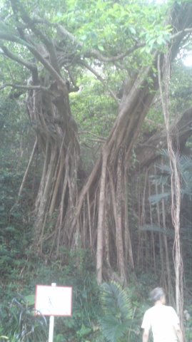 150712_1740~01.jpg