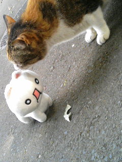 20060624_41785.JPG