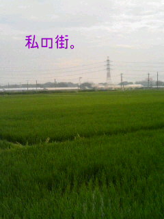 20060714_58918.JPG