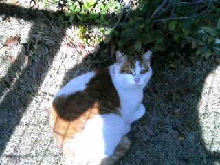20070221_209033.JPG