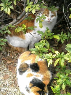 20070309_217412.JPG