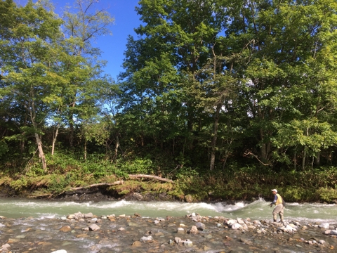 富良野でフィッシング