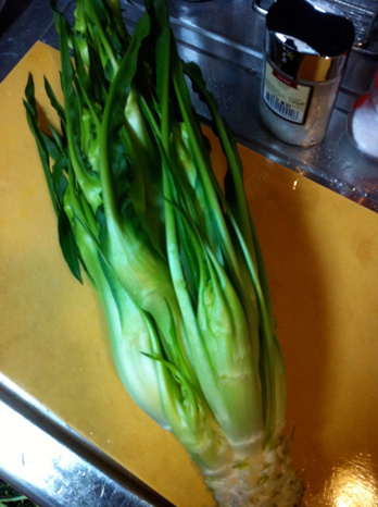 putarelle