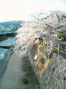 2011041320090000.jpg