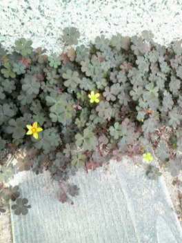 2011041320110000.jpg