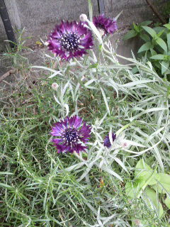 2012051209420000.jpg